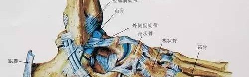  勇士格林遭遇左脚踝韧带撕裂伤停四周  