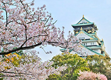 北海新绎杯一力辽胜芈昱廷日本棋圣强势杀进八强